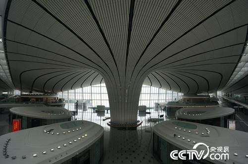 大興機(jī)場(chǎng)啟航倒計(jì)時(shí)！“金鳳凌空”之姿先睹為快-海運(yùn)拼箱價(jià)格