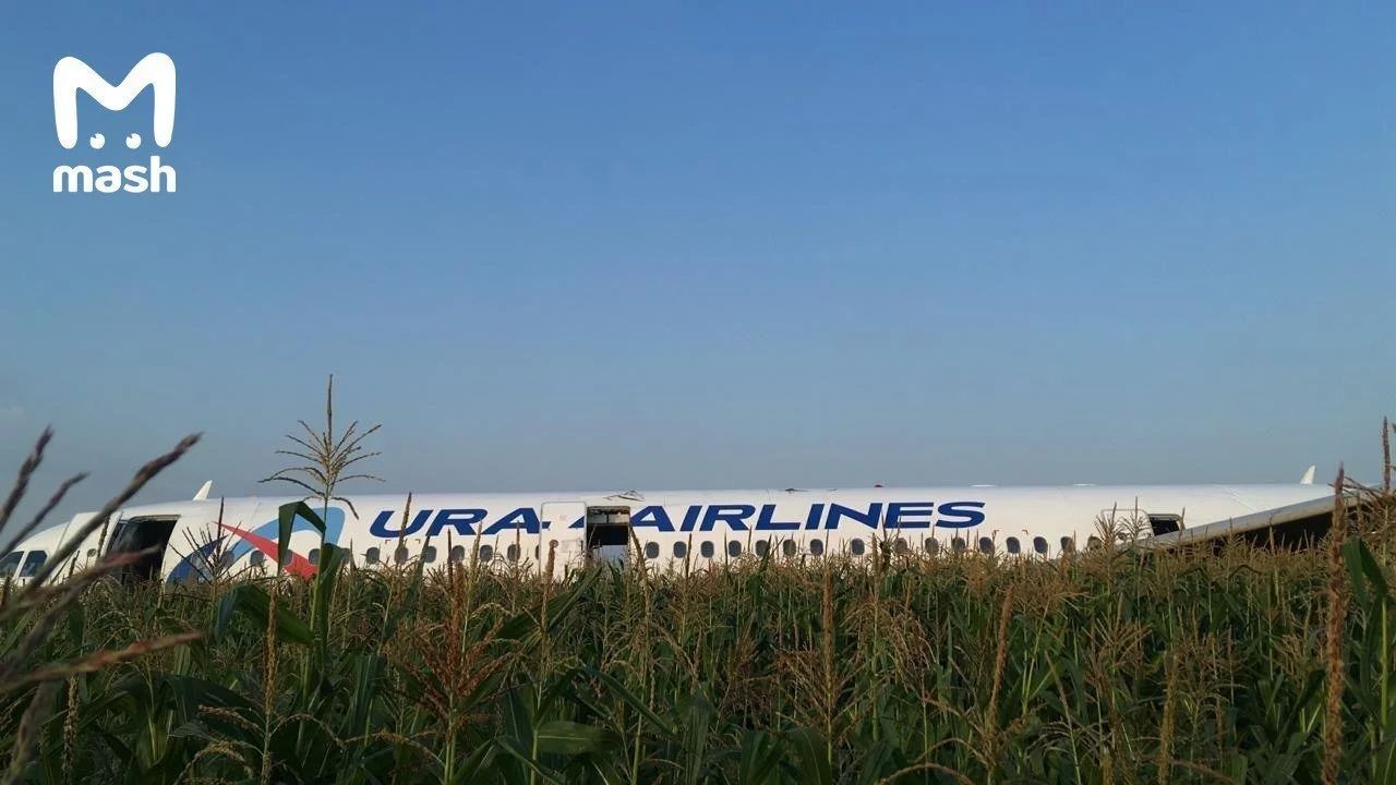 俄烏拉爾航空客機(jī)遭遇鳥(niǎo)擊引擎起火緊急備降 10人受傷