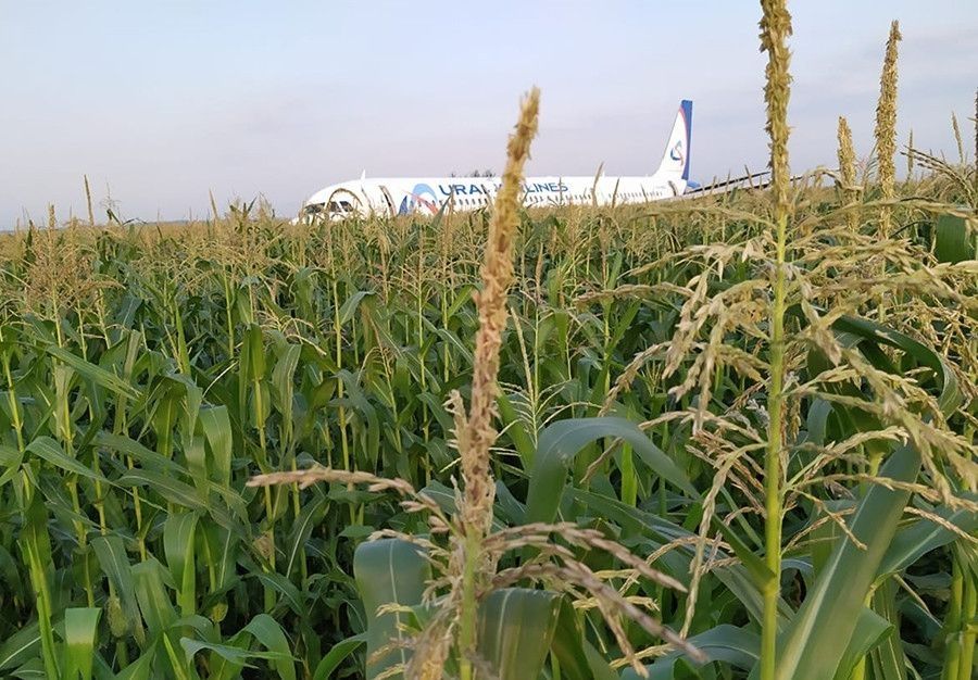 俄羅斯硬核機(jī)長(zhǎng)把飛機(jī)硬著陸玉米地，拯救了整飛機(jī)的人！機(jī)組成員獲授國(guó)家榮譽(yù)