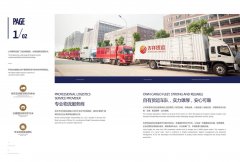 國(guó)際快遞價(jià)格-
深圳空運(yùn)-福建第三方物流公司公司