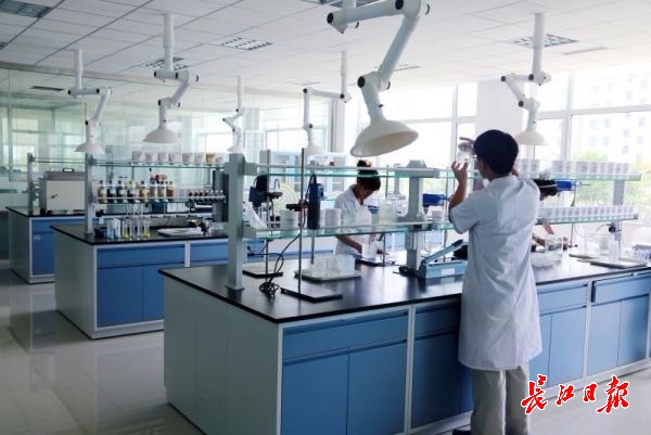 青島西海岸的這幾張名片，能為武漢發(fā)展帶來哪些啟示？