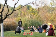 海運(yùn)價(jià)格-未來三天武漢單曲循環(huán)“小晴歌”，出游正當(dāng)時(shí)