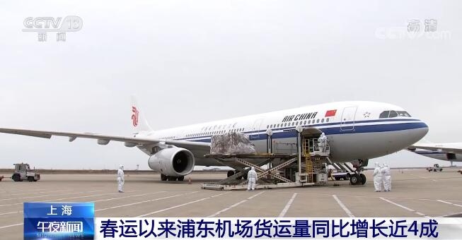 受航空運(yùn)輸需求旺盛帶動(dòng) 春運(yùn)以來浦東機(jī)場貨運(yùn)量同比增長近4成