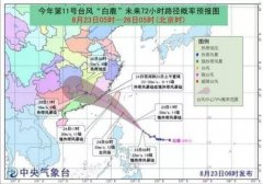 臺風藍色預警:“白鹿”24日或正面登陸福建！-運費報價