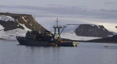 海象護(hù)崽“撞沉”俄海軍船只-上?？者\(yùn)